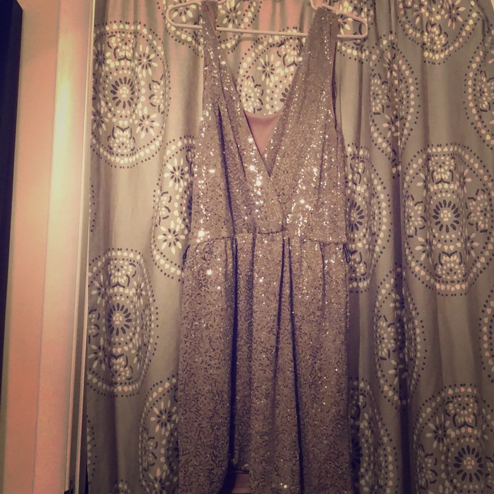 Express dress large